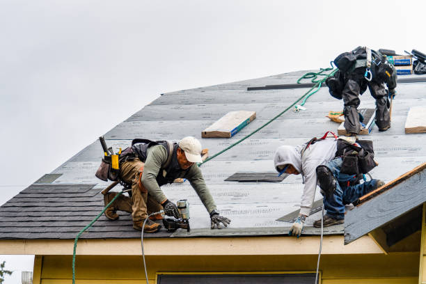 Professional Roofing technician working in Linden, IA